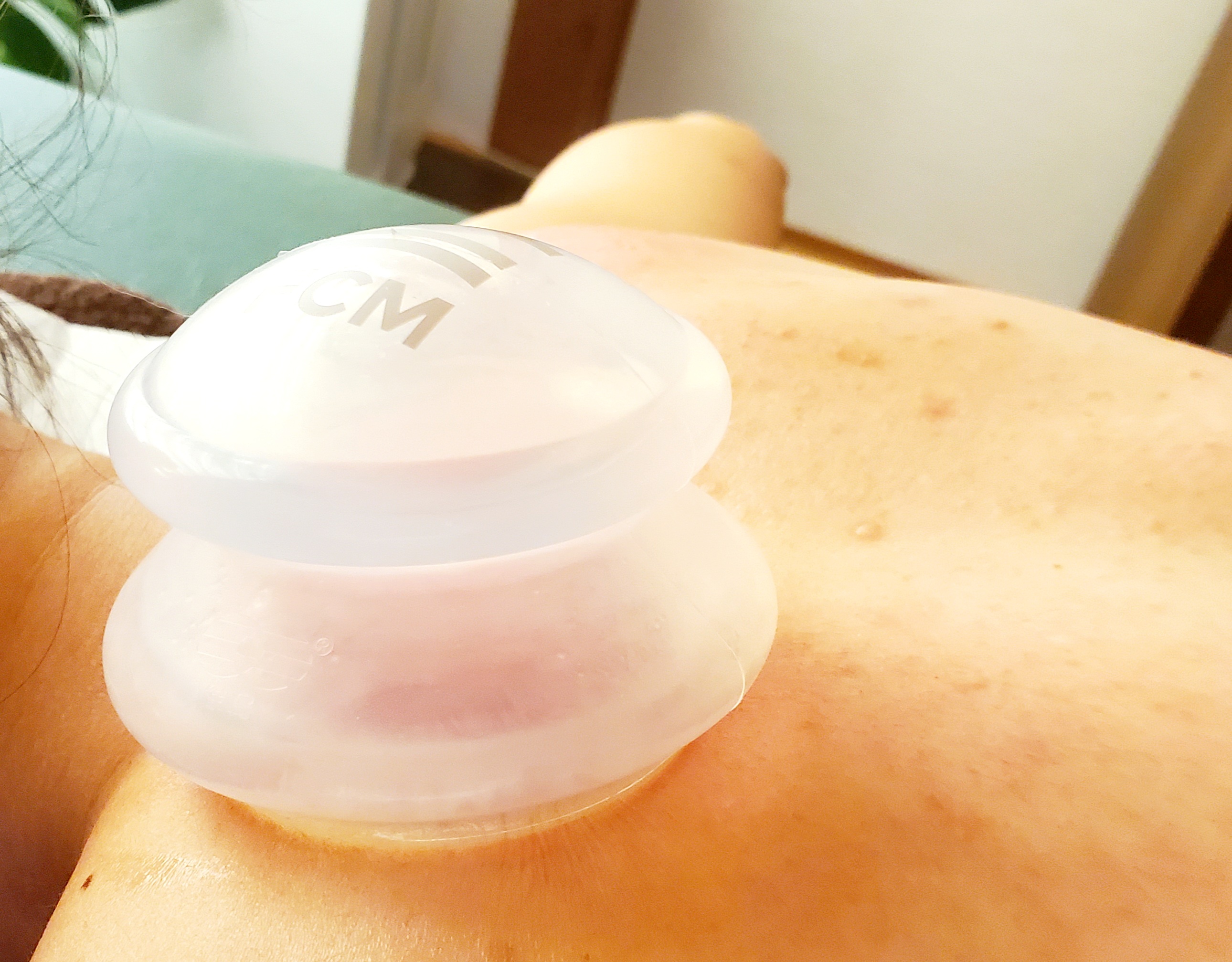 期間限定コース